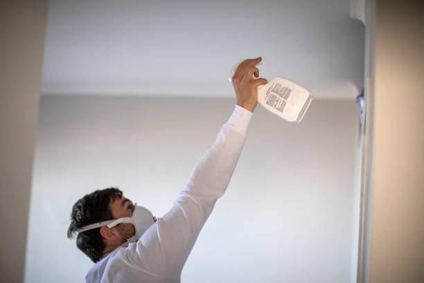 Best Insurance-Related Mold Remediation in Columbia City, OR