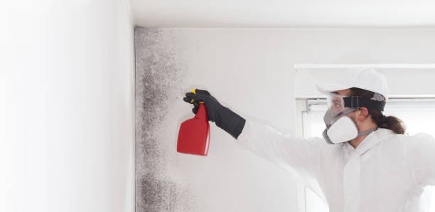 Best Preventive Mold Services in Columbia City, OR